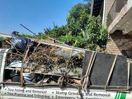 Best Recycling Services for Junk  in Heritage Lake, IL